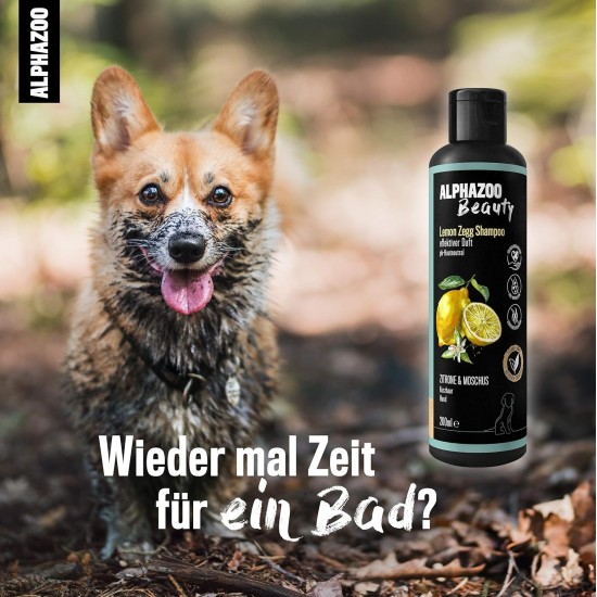 alphazoo Soothing Agent for Dogs I Peace of Mind Soothing Spray 100 ml with Valerian I Soothing for Car Trips, Travel, New Year's Eve & Being Alone I Strong Spray with Fragrance Against Stress I High alphazoo Soothing Agent for Dogs I Peace of Mind Soothing Spray 100 ml with Valerian I Soothing for Car Trips, Travel, New Year's Eve & Being Alone I Strong Spray with Fragrance Against Stress I High