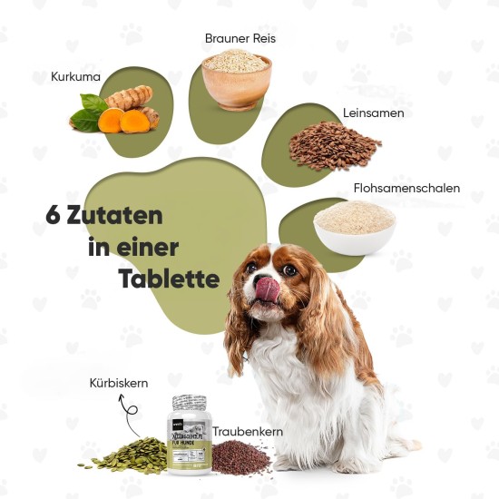 animigo Allergiehilfe für Hunde - 120 Allergie Tabletten für Haut-, Umwelt- & Nahrungsmittelallergien - Mit Kurkuma, Flohsamenschalen, Leinsamen, Traubenkernextrakt, Kürbiskern, Mit Huhn Geschmack animigo Allergiehilfe für Hunde - 120 Allergie Tabletten für Haut-, Umwelt- & Nahrungsmittelallergien - Mit Kurkuma, Flohsamenschalen, Leinsamen, Traubenkernextrakt, Kürbiskern, Mit Huhn Geschmack