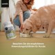 animigo Allergiehilfe für Hunde - 120 Allergie Tabletten für Haut-, Umwelt- & Nahrungsmittelallergien - Mit Kurkuma, Flohsamenschalen, Leinsamen, Traubenkernextrakt, Kürbiskern, Mit Huhn Geschmack animigo Allergiehilfe für Hunde - 120 Allergie Tabletten für Haut-, Umwelt- & Nahrungsmittelallergien - Mit Kurkuma, Flohsamenschalen, Leinsamen, Traubenkernextrakt, Kürbiskern, Mit Huhn Geschmack