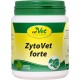 cdVet Naturprodukte ZytoVet forte 150 g - Dog, Cat - Supplementary Feed - Support of the Immune System - Autoimmune Diseases - Cell Metabolism Problems - Healthy Cells - Health - cdVet Naturprodukte ZytoVet forte 150 g - Dog, Cat - Supplementary Feed - Support of the Immune System - Autoimmune Diseases - Cell Metabolism Problems - Healthy Cells - Health -