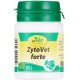 cdVet Naturprodukte ZytoVet forte 25 g - Dog, Cat - Supplementary Feed - Support of the Immune System - Autoimmune Diseases - Cell Metabolism Problems - Healthy Cells - Health - cdVet Naturprodukte ZytoVet forte 25 g - Dog, Cat - Supplementary Feed - Support of the Immune System - Autoimmune Diseases - Cell Metabolism Problems - Healthy Cells - Health -