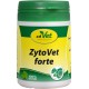 cdVet Naturprodukte ZytoVet forte 55 g - Dog, Cat - Supplementary Feed - Support of the Immune System - Autoimmune Diseases - Cell Metabolism Problems - Healthy Cells - Health - cdVet Naturprodukte ZytoVet forte 55 g - Dog, Cat - Supplementary Feed - Support of the Immune System - Autoimmune Diseases - Cell Metabolism Problems - Healthy Cells - Health -