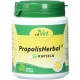 cdVet PropolisHerbal Capsules, 100-Count