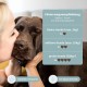 mammaly Calming Agent for Dogs Relax Time Test Set - Peace of Mind for Anti-Stress Moments such as Car Trip New Year's Eve - Delicious Dog Snacks with Valerian & Probiotics for Relaxation & Soothing mammaly Calming Agent for Dogs Relax Time Test Set - Peace of Mind for Anti-Stress Moments such as Car Trip New Year's Eve - Delicious Dog Snacks with Valerian & Probiotics for Relaxation & Soothing