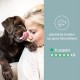 mammaly Relax Time Soothing Agent for Dogs - 110 Treats with Valerian & Lemon Balm (Relaxation & Anti-Stress Agent) Delicious Snacks Peace & Relaxation Dog for Anxiety / Stress mammaly Relax Time Soothing Agent for Dogs - 110 Treats with Valerian & Lemon Balm (Relaxation & Anti-Stress Agent) Delicious Snacks Peace & Relaxation Dog for Anxiety / Stress