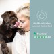 mammaly Relax Time Soothing Agent for Dogs - 110 Treats with Valerian & Lemon Balm (Relaxation & Anti-Stress Agent) Delicious Snacks Peace & Relaxation Dog for Anxiety / Stress mammaly Relax Time Soothing Agent for Dogs - 110 Treats with Valerian & Lemon Balm (Relaxation & Anti-Stress Agent) Delicious Snacks Peace & Relaxation Dog for Anxiety / Stress