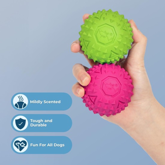 2-in-1 Squeaky Dog Toy with Soft, Durable Fabric for Small, Medium and Large Pets - No Filling for Playing Around the House, 4 Figures, Size L 2-in-1 Squeaky Dog Toy with Soft, Durable Fabric for Small, Medium and Large Pets - No Filling for Playing Around the House, 4 Figures, Size L