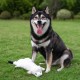 2-in-1 Squeaky Dog Toy with Soft, Durable Fabric for Small, Medium and Large Pets - No Filling for Playing Around the House, 4 Figures, Size L 2-in-1 Squeaky Dog Toy with Soft, Durable Fabric for Small, Medium and Large Pets - No Filling for Playing Around the House, 4 Figures, Size L
