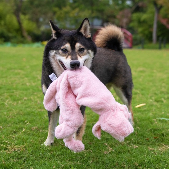 2-in-1 Squeaky Dog Toy with Soft, Durable Fabric for Small, Medium and Large Pets - No Filling for Playing Around the House, 4 Figures, Size L 2-in-1 Squeaky Dog Toy with Soft, Durable Fabric for Small, Medium and Large Pets - No Filling for Playing Around the House, 4 Figures, Size L