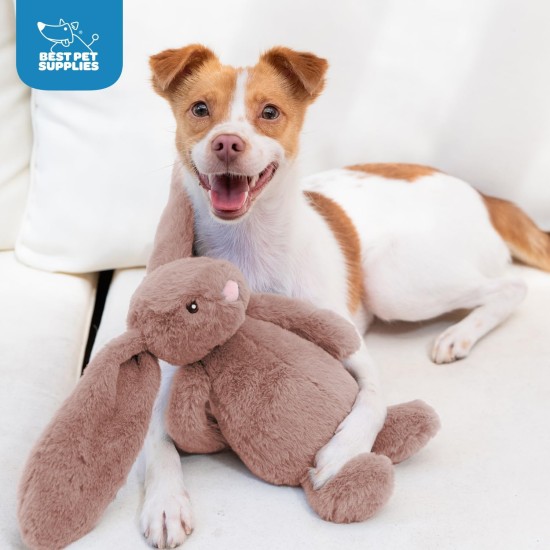 2-in-1 Squeaky Dog Toy with Soft, Durable Fabric for Small, Medium and Large Pets - No Filling for Playing Around the House, 4 Figures, Size L 2-in-1 Squeaky Dog Toy with Soft, Durable Fabric for Small, Medium and Large Pets - No Filling for Playing Around the House, 4 Figures, Size L