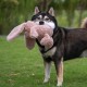 2-in-1 Squeaky Dog Toy with Soft, Durable Fabric for Small, Medium and Large Pets - No Filling for Playing Around the House, 4 Figures, Size L 2-in-1 Squeaky Dog Toy with Soft, Durable Fabric for Small, Medium and Large Pets - No Filling for Playing Around the House, 4 Figures, Size L