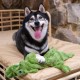 2-in-1 Squeaky Dog Toy with Soft, Durable Fabric for Small, Medium and Large Pets - No Filling for Playing Around the House, 4 Figures, Size L 2-in-1 Squeaky Dog Toy with Soft, Durable Fabric for Small, Medium and Large Pets - No Filling for Playing Around the House, 4 Figures, Size L