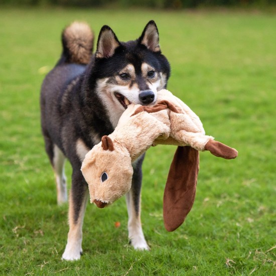 2-in-1 Squeaky Dog Toy with Soft, Durable Fabric for Small, Medium and Large Pets - No Filling for Playing Around the House, 4 Figures, Size L 2-in-1 Squeaky Dog Toy with Soft, Durable Fabric for Small, Medium and Large Pets - No Filling for Playing Around the House, 4 Figures, Size L