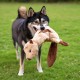 2-in-1 Squeaky Dog Toy with Soft, Durable Fabric for Small, Medium and Large Pets - No Filling for Playing Around the House, 4 Figures, Size L 2-in-1 Squeaky Dog Toy with Soft, Durable Fabric for Small, Medium and Large Pets - No Filling for Playing Around the House, 4 Figures, Size L