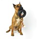 43735018 Tirebiter II with Rope Dog Toy, XL 43735018 Tirebiter II with Rope Dog Toy, XL