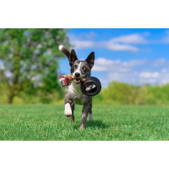 43735018 Tirebiter II with Rope Dog Toy, XL 43735018 Tirebiter II with Rope Dog Toy, XL