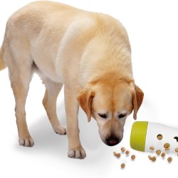 ALL FOR PAWS Interactive Dog Treat Bomb 4lb ALL FOR PAWS Interactive Dog Treat Bomb 4lb