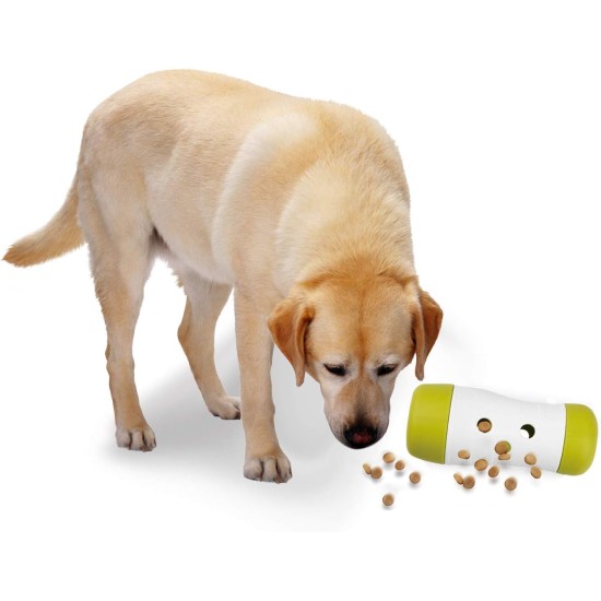 ALL FOR PAWS Interactive Dog Treat Bomb 4lb
