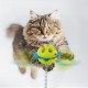 ALL FOR PAWS Interactives Cat Treat Maze Toy Cat Food Dispenser Kitty Puzzle Feeder Catnip Toy Cat Wand Toy Cat Fun Playing Toys Kitten Toys