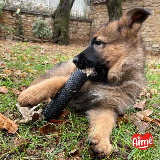 Aimé Dog Toy - Cronos Series - Interactive Dog Toy - Rope for Dogs - with a Container for Treats for Dogs - Vegetable and Natural - 15 cm - Toy Very Robust - Made Aimé Dog Toy - Cronos Series - Interactive Dog Toy - Rope for Dogs - with a Container for Treats for Dogs - Vegetable and Natural - 15 cm - Toy Very Robust - Made