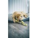 Aime Braided Dog Toy - Diameter 35 cm Aime Braided Dog Toy - Diameter 35 cm
