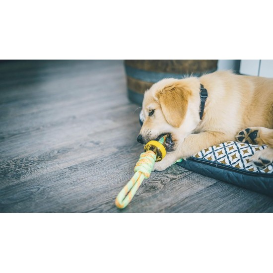 Aime Braided Dog Toy - Diameter 35 cm Aime Braided Dog Toy - Diameter 35 cm
