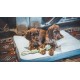 Aime Braided Dog Toy - Diameter 35 cm Aime Braided Dog Toy - Diameter 35 cm