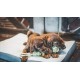 Aime Braided Dog Toy - Diameter 35 cm Aime Braided Dog Toy - Diameter 35 cm