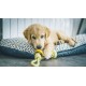 Aime Braided Dog Toy - Diameter 35 cm Aime Braided Dog Toy - Diameter 35 cm