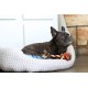 Aime Cotton Rope Toy for Dogs 30 cm Aime Cotton Rope Toy for Dogs 30 cm