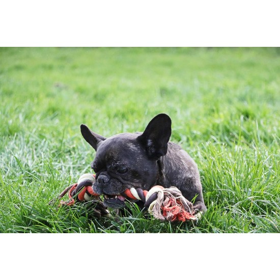 Aime Cotton Rope Toy for Dogs 30 cm Aime Cotton Rope Toy for Dogs 30 cm