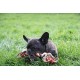 Aime Cotton Rope Toy for Dogs 30 cm Aime Cotton Rope Toy for Dogs 30 cm