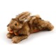 All For Paws Rabbit Dog Toy with Squeaker, 6-inch All For Paws Rabbit Dog Toy with Squeaker, 6-inch