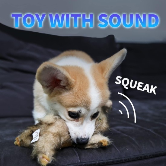 All For Paws Rabbit Dog Toy with Squeaker, 6-inch All For Paws Rabbit Dog Toy with Squeaker, 6-inch