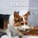 All For Paws Rabbit Dog Toy with Squeaker, 6-inch All For Paws Rabbit Dog Toy with Squeaker, 6-inch