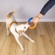 Astrodog Dog Toy, Interactive Durable Robust Toy for Large Dog Breeds, EVA & TPR Orbit Outdoor Dog Toy