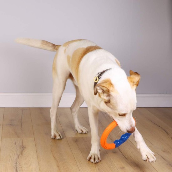 Astrodog Dog Toy, Interactive Durable Robust Toy for Large Dog Breeds, EVA & TPR Orbit Outdoor Dog Toy Astrodog Dog Toy, Interactive Durable Robust Toy for Large Dog Breeds, EVA & TPR Orbit Outdoor Dog Toy