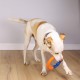 Astrodog Dog Toy, Interactive Durable Robust Toy for Large Dog Breeds, EVA & TPR Orbit Outdoor Dog Toy