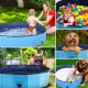 Avilia Folding Pool for Dogs, Refreshing and Non-Slip, 120 x 30 cm, Scratch-Resistant PVC with Drain Plug, Ideal for Summer and Pets