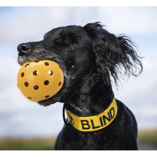 Ball in ball, natural rubber, Medium Size ø 7 cm - Dogs go mad for these (they love the sensation)! Ball in ball, natural rubber, Medium Size ø 7 cm - Dogs go mad for these (they love the sensation)!