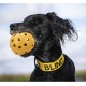 Ball in ball, natural rubber, Medium Size ø 7 cm - Dogs go mad for these (they love the sensation)! Ball in ball, natural rubber, Medium Size ø 7 cm - Dogs go mad for these (they love the sensation)!