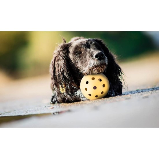 Ball in ball, natural rubber, Medium Size ø 7 cm - Dogs go mad for these (they love the sensation)! Ball in ball, natural rubber, Medium Size ø 7 cm - Dogs go mad for these (they love the sensation)!
