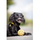 Ball in ball, natural rubber, Medium Size ø 7 cm - Dogs go mad for these (they love the sensation)! Ball in ball, natural rubber, Medium Size ø 7 cm - Dogs go mad for these (they love the sensation)!