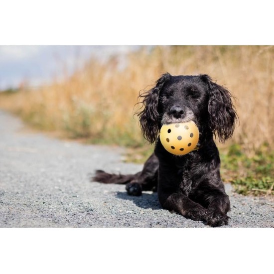 Ball in ball, natural rubber, Medium Size ø 7 cm - Dogs go mad for these (they love the sensation)! Ball in ball, natural rubber, Medium Size ø 7 cm - Dogs go mad for these (they love the sensation)!