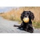 Ball in ball, natural rubber, Medium Size ø 7 cm - Dogs go mad for these (they love the sensation)! Ball in ball, natural rubber, Medium Size ø 7 cm - Dogs go mad for these (they love the sensation)!