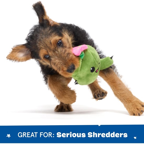 Barkbox 2-in-1 Interactive Plush Dog Toy - Rip & Reveal Toy for Dogs and Puppies - Stimulating Squeaky Pet Toy | Andi's Dumplings (Large) Barkbox 2-in-1 Interactive Plush Dog Toy - Rip & Reveal Toy for Dogs and Puppies - Stimulating Squeaky Pet Toy | Andi's Dumplings (Large)