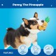 Barkbox 2-in-1 Interactive Plush Dog Toy - Rip & Reveal Toy for Dogs and Puppies - Stimulating Squeaky Pet Toy | Bananas (Small) Barkbox 2-in-1 Interactive Plush Dog Toy - Rip & Reveal Toy for Dogs and Puppies - Stimulating Squeaky Pet Toy | Bananas (Small)