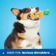 Barkbox 2-in-1 Interactive Plush Dog Toy - Rip & Reveal Toy for Dogs and Puppies - Stimulating Squeaky Pet Toy | Bananas (Small) Barkbox 2-in-1 Interactive Plush Dog Toy - Rip & Reveal Toy for Dogs and Puppies - Stimulating Squeaky Pet Toy | Bananas (Small)
