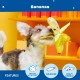 Barkbox 2-in-1 Interactive Plush Dog Toy - Rip & Reveal Toy for Dogs and Puppies - Stimulating Squeaky Pet Toy | Bananas (Small) Barkbox 2-in-1 Interactive Plush Dog Toy - Rip & Reveal Toy for Dogs and Puppies - Stimulating Squeaky Pet Toy | Bananas (Small)