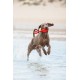 Beeztees Fliegende Boje, Hundespielzeug, TPR, Rot, 28x13x8 cm Beeztees Fliegende Boje, Hundespielzeug, TPR, Rot, 28x13x8 cm